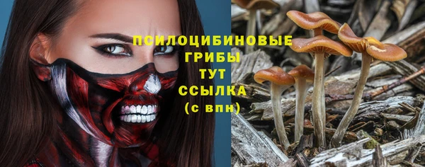 гашик Белоозёрский